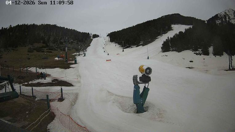 Webcam Masella: Coma Oriola - 1950m.