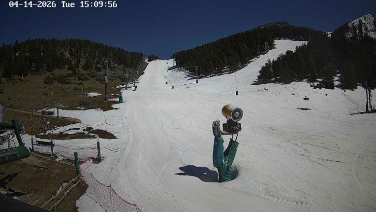 Webcam Masella: Coma Oriola - 1950m.