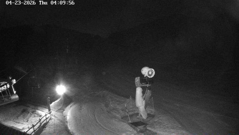 Webcam Masella: Coma Oriola - 1950m.