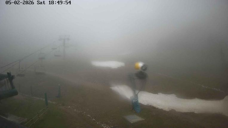 Webcam Masella: Coma Oriola - 1950m.