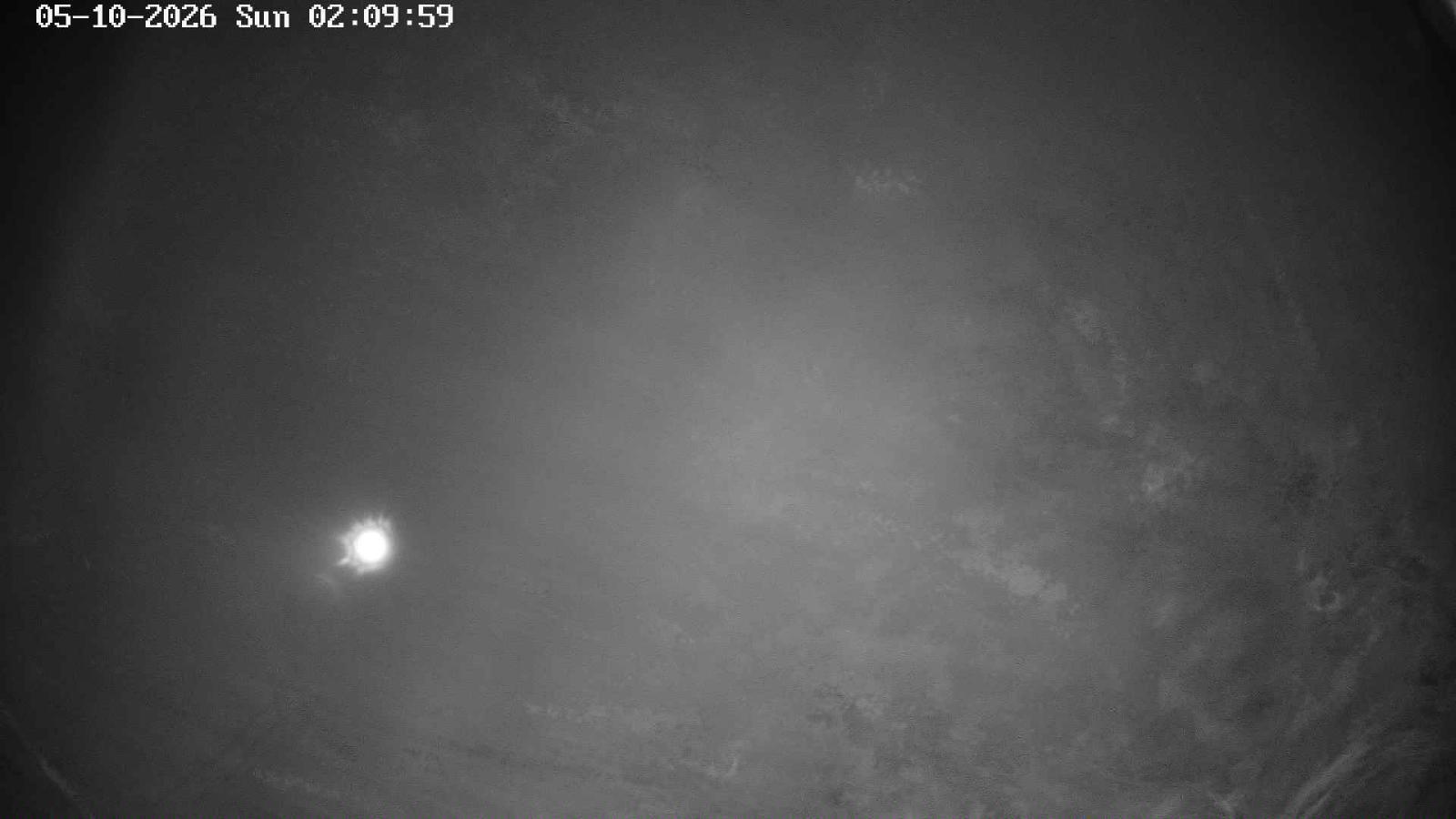 Webcam Masella: Coma Oriola - 1950m.
