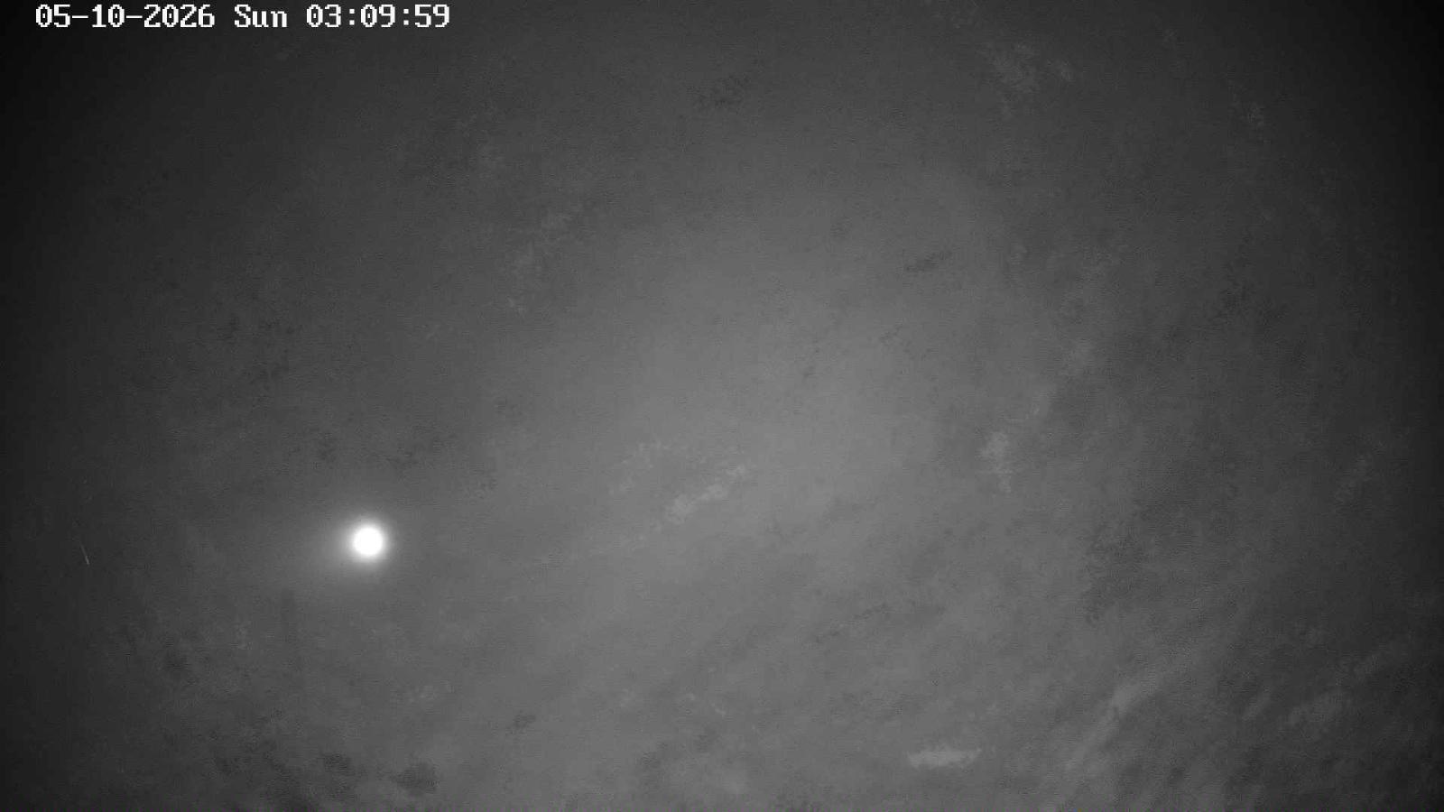 Webcam Masella: Coma Oriola - 1950m.