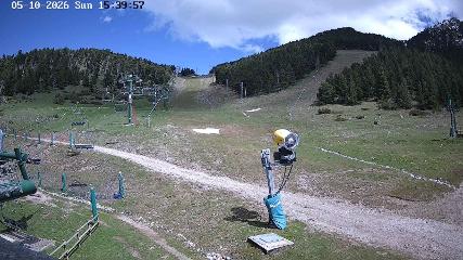 User report image in Masella