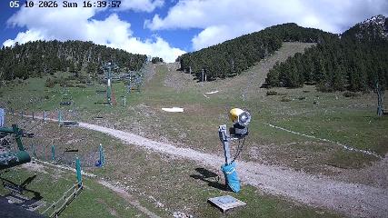 User report image in Masella