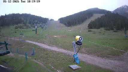 Masella: Coma Oriola - 1950m. (masella.com)