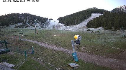 Masella: Coma Oriola - 1950m. (masella.com)