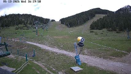 Bild des Benutzerberichts in Masella