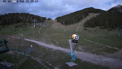 Masella: Coma Oriola - 1950m. (masella.com)