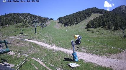 Imagem do relatório do usuário em Masella