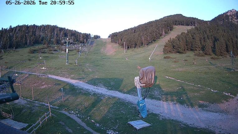 Webcam Masella: Coma Oriola - 1950m.