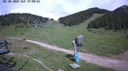 User report image in Masella