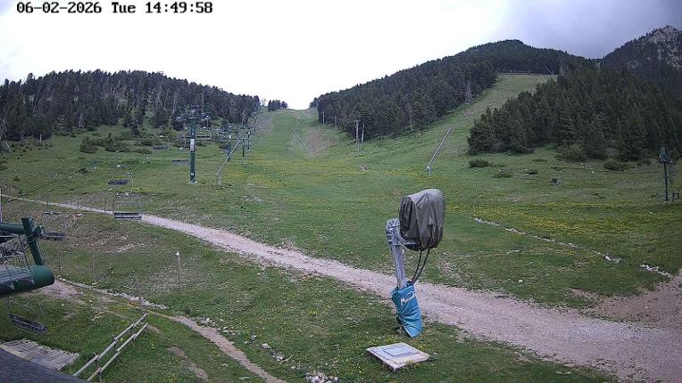 Webcam Masella: Coma Oriola - 1950m.