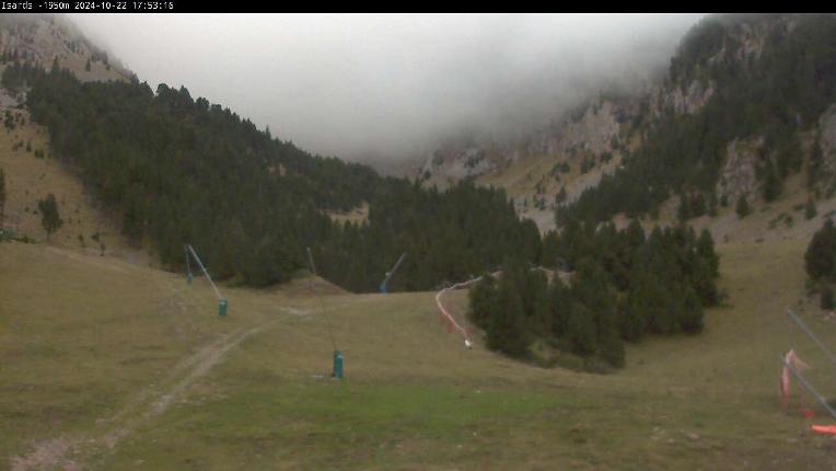 Webcam Masella: Isards 1950m