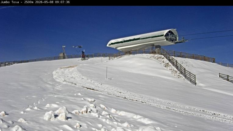 Webcam Masella: Jumbo Tosa 2500m