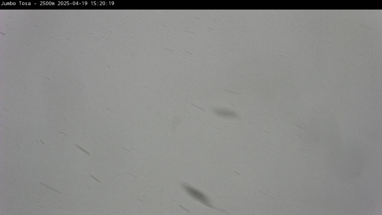 Webcam Masella: Jumbo Tosa 2500m