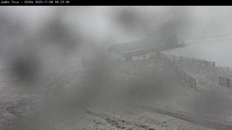Webcam Masella: Jumbo Tosa 2500m