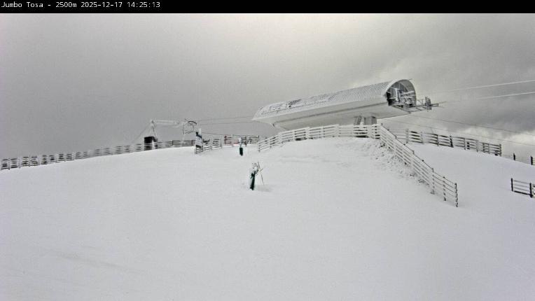 Webcam Masella: Jumbo Tosa 2500m
