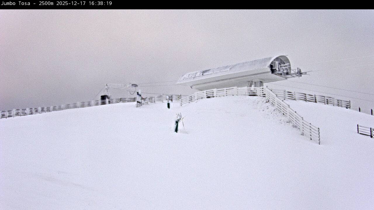 Webcam Masella: Jumbo Tosa 2500m