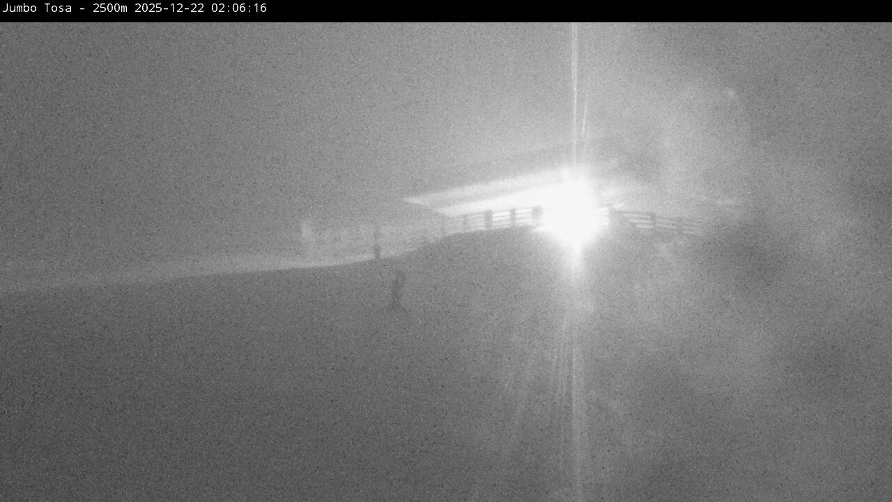 Webcam Masella: Jumbo Tosa 2500m