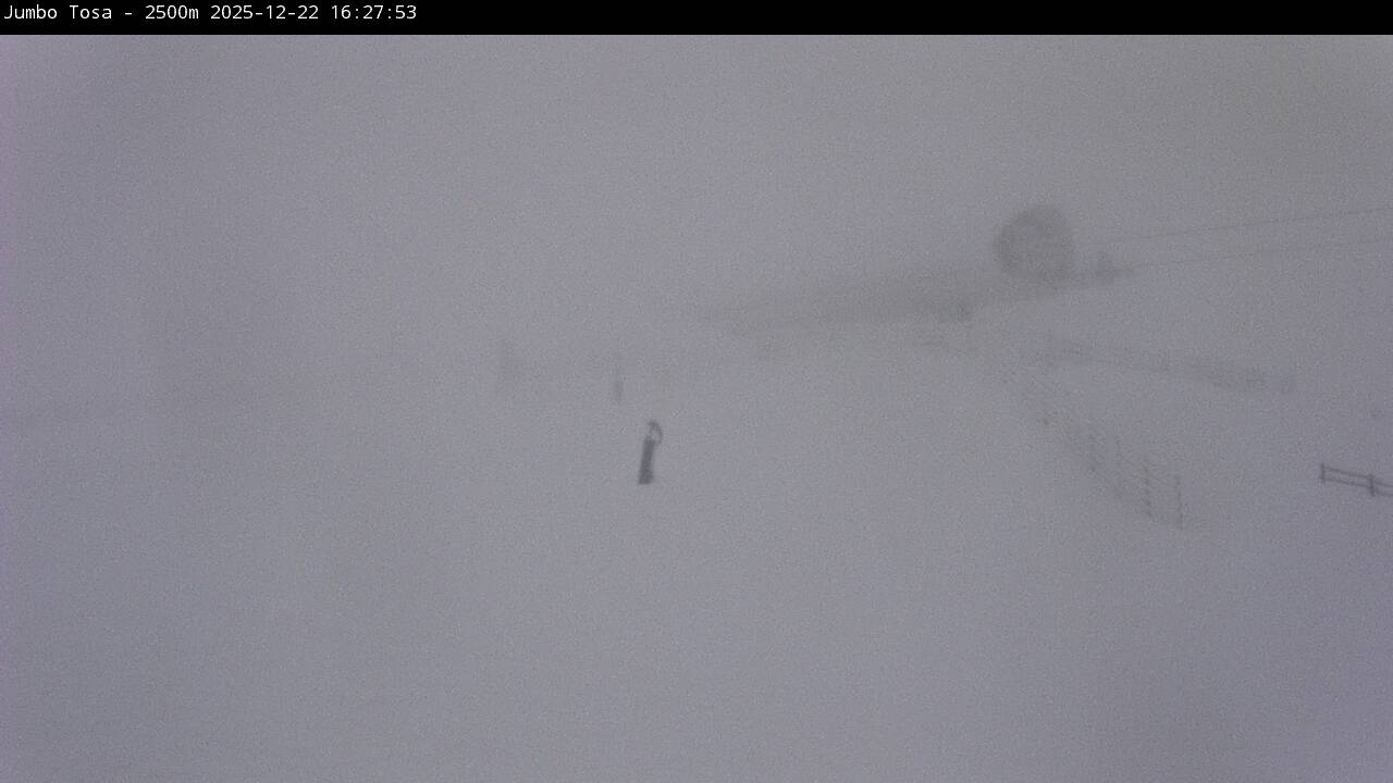 Webcam Masella: Jumbo Tosa 2500m