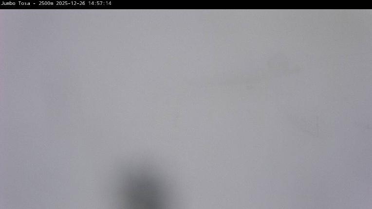 Webcam Masella: Jumbo Tosa 2500m