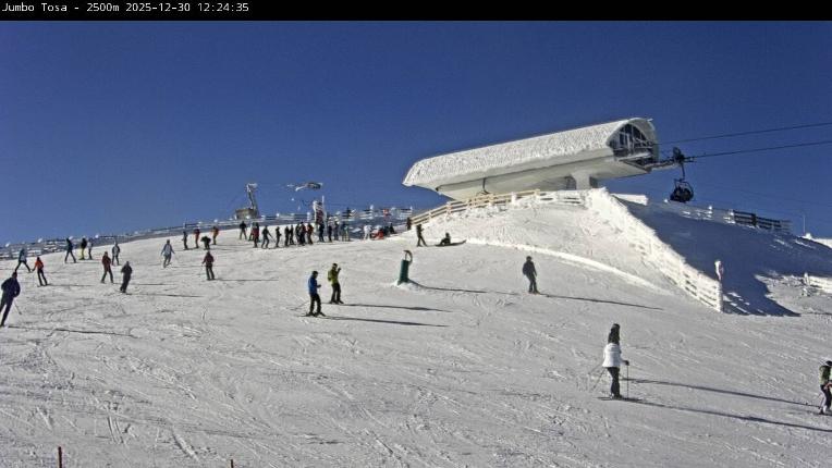 Webcam Masella: Jumbo Tosa 2500m