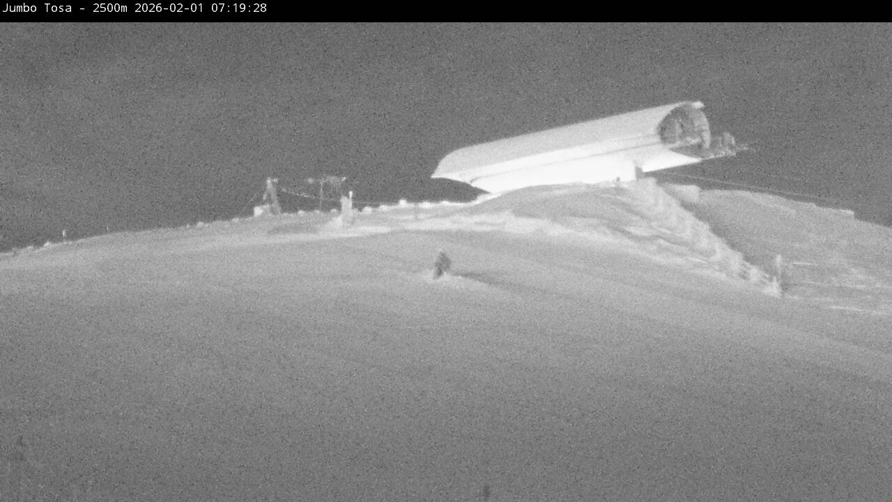 Webcam Masella: Jumbo Tosa 2500m