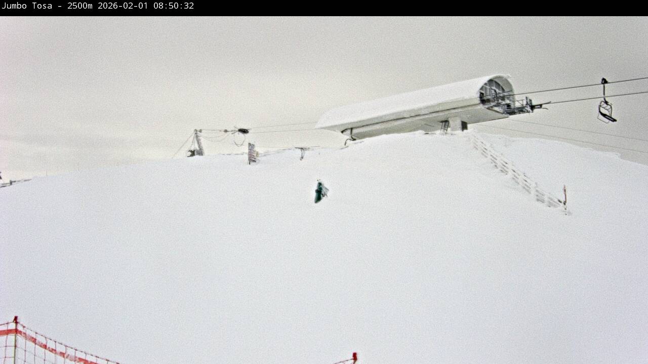 Webcam Masella: Jumbo Tosa 2500m