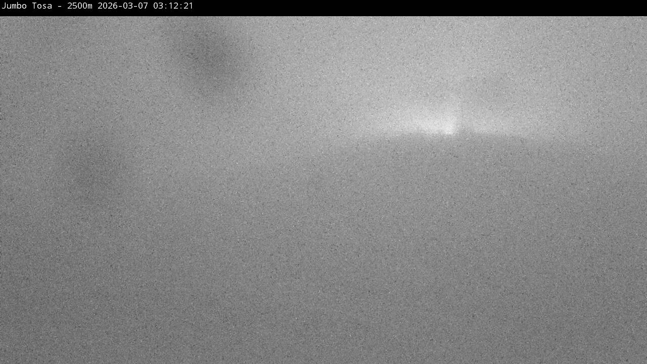 Webcam Masella: Jumbo Tosa 2500m