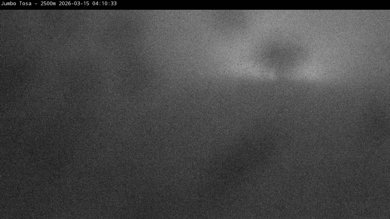 Webcam Masella: Jumbo Tosa 2500m