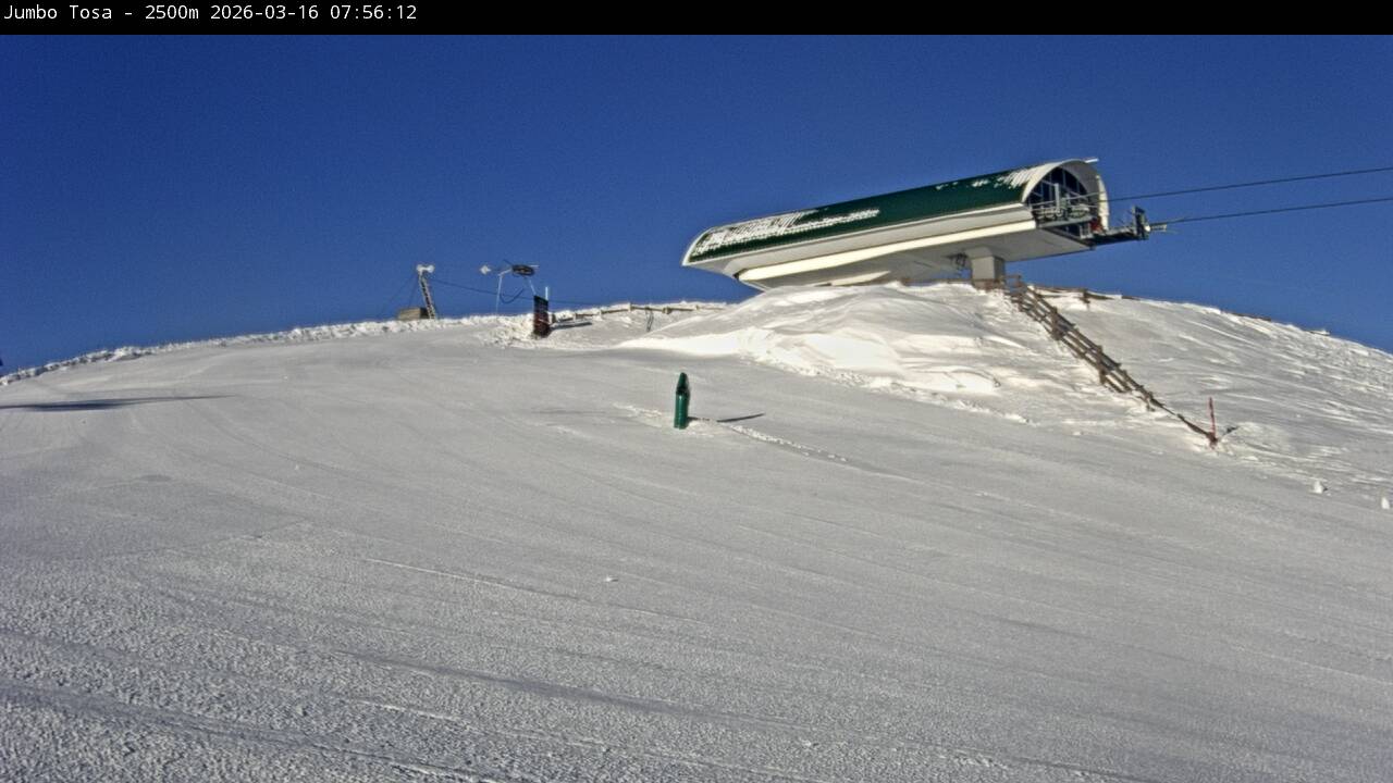 Webcam Masella: Jumbo Tosa 2500m