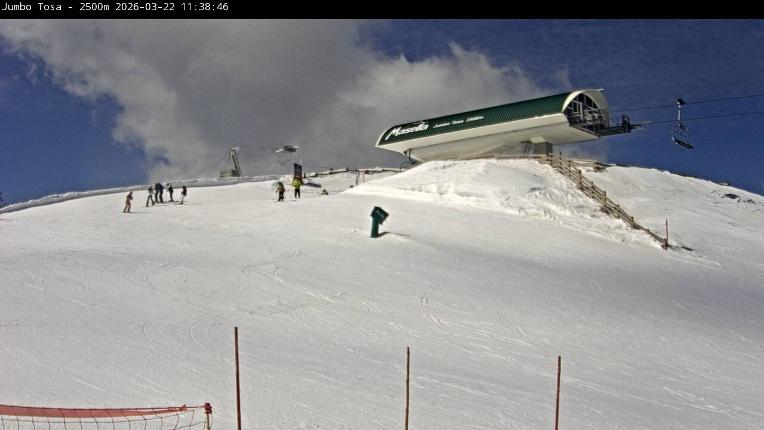 Webcam Masella: Jumbo Tosa 2500m