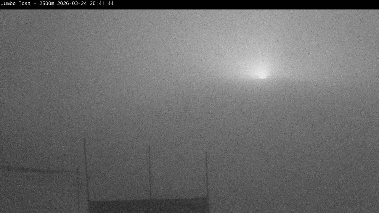 Webcam Masella: Jumbo Tosa 2500m