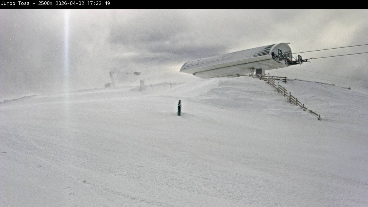 Webcam Masella: Jumbo Tosa 2500m