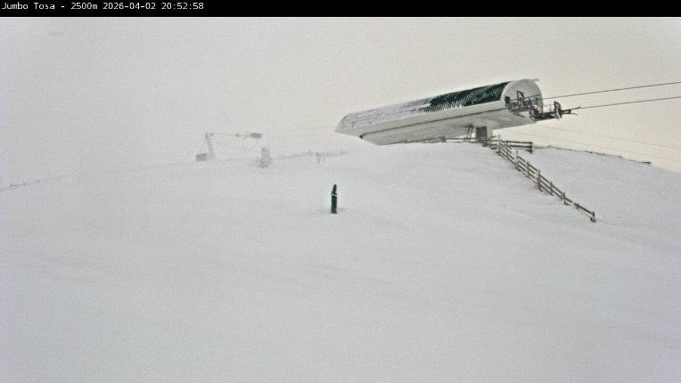 Webcam Masella: Jumbo Tosa 2500m