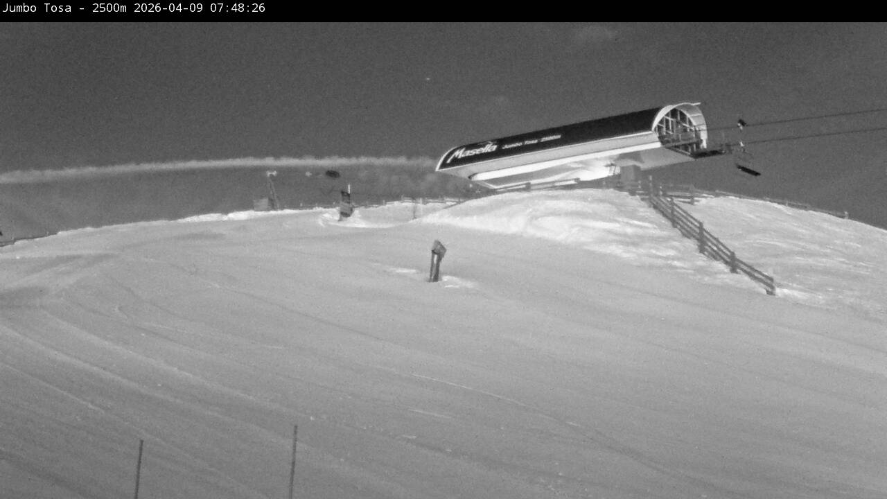 Webcam Masella: Jumbo Tosa 2500m