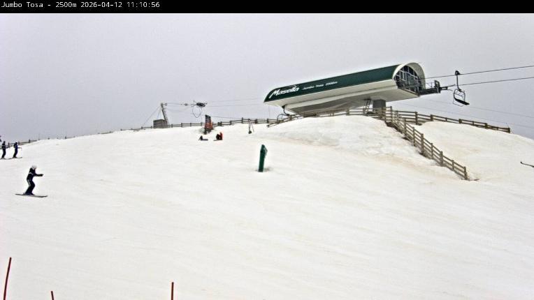 Webcam Masella: Jumbo Tosa 2500m