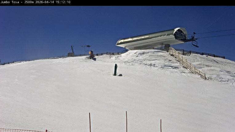 Webcam Masella: Jumbo Tosa 2500m