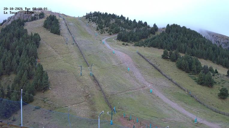 Webcam Masella: La Tossa - 2150m.