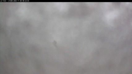 Image du rapport d'utilisateur dans Masella