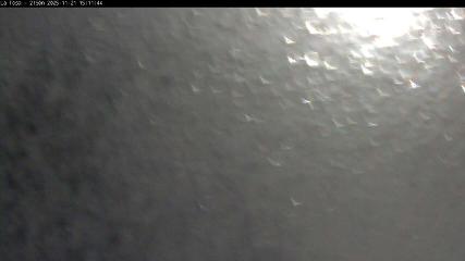 Masella: La Tossa - 2150m. (masella.com)