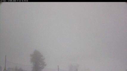 Masella: La Tossa - 2150m. (masella.com)