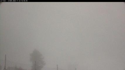 Bild des Benutzerberichts in Masella