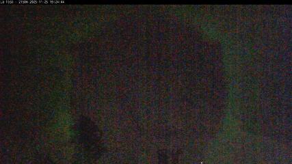 Masella: La Tossa - 2150m. (masella.com)