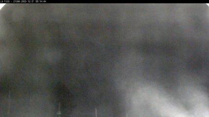 Masella: La Tossa - 2150m. (masella.com)