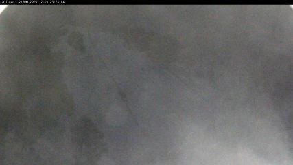 Masella: La Tossa - 2150m. (masella.com)