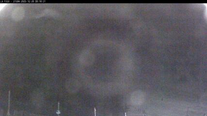 Masella: La Tossa - 2150m. (masella.com)