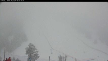 Imagem do relatório do usuário em Masella