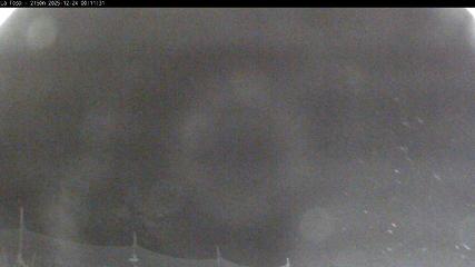 Masella: La Tossa - 2150m. (masella.com)