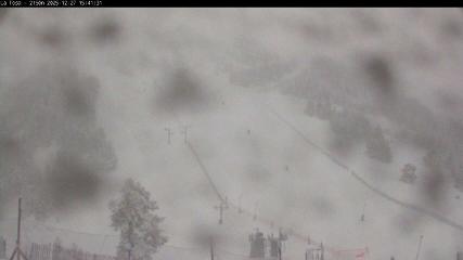 Masella: La Tossa - 2150m. (masella.com)